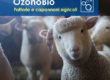 Sanificazioni capannoni insutriali agricoli