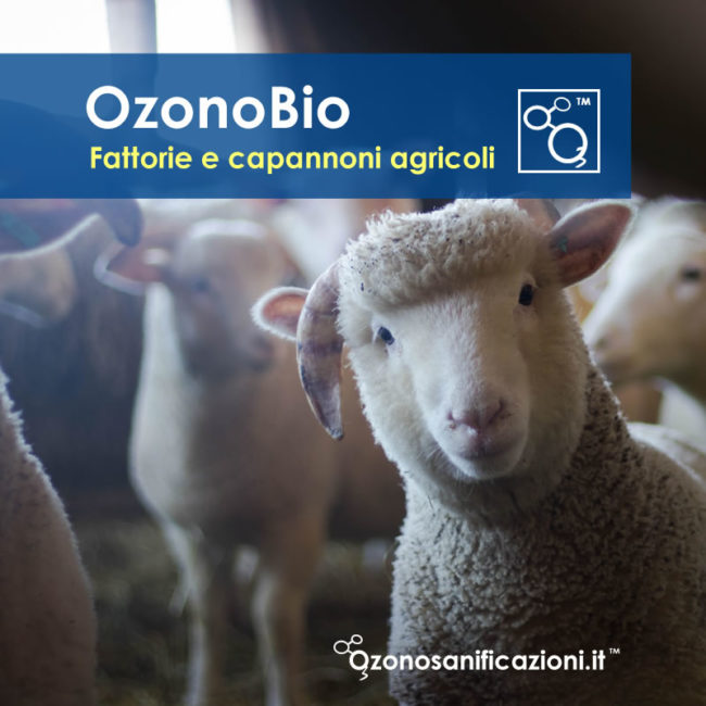 Sanificazioni capannoni insutriali agricoli Sanificazioni capannoni insutriali agricoli
