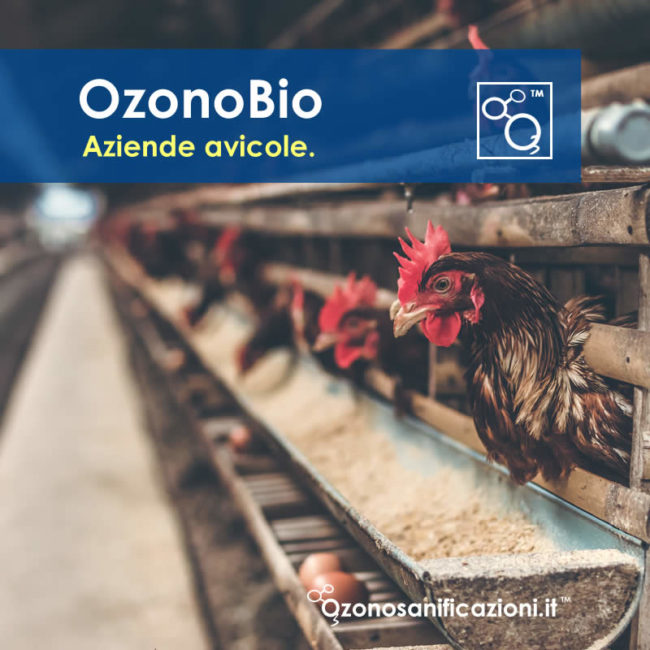 Disinfezioni e igienizzazioni aziende avicole Disinfezioni e igienizzazioni aziende avicole