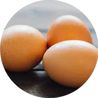 fipronil.fw fipronil.fw