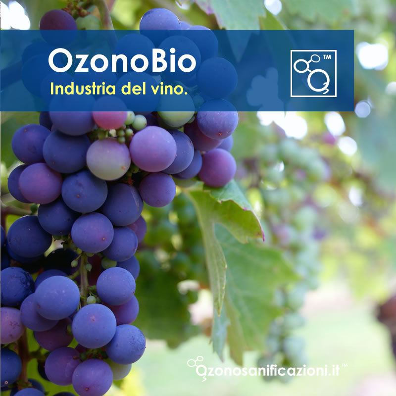 Sanificazioni botti tappi sughero industria del vino